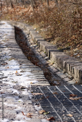 an empty sidewalk in a park covered with snow and bushes