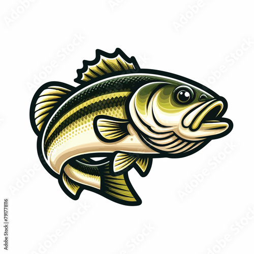 Bass Fish Vector Illustration