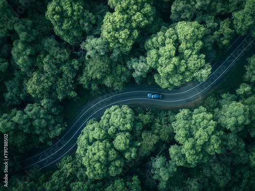 Aerial Photo: Dark Road in the Forest with Car Driving © Natalia Schuchardt