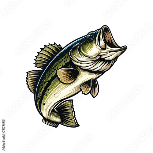 Bass Fish Vector Illustration