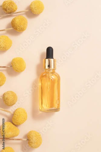 natural cosmetic skincare oil and craspedia flowers on beige background. Home made remedy and beauty product concept.