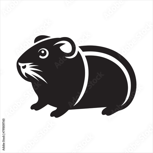 Abyssinian guinea pig vector