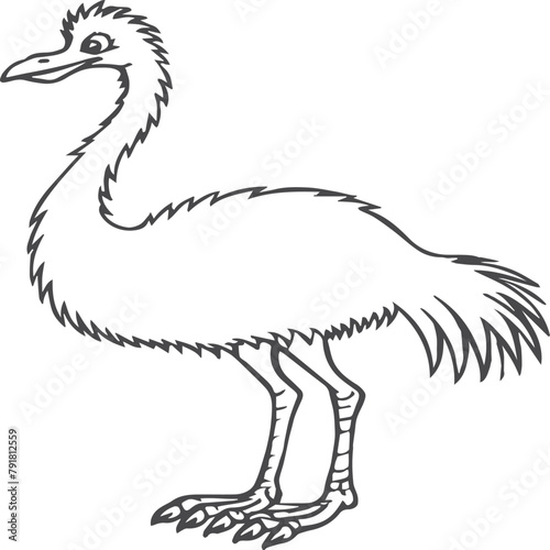 Emu bird coloring pages for coloring book photo