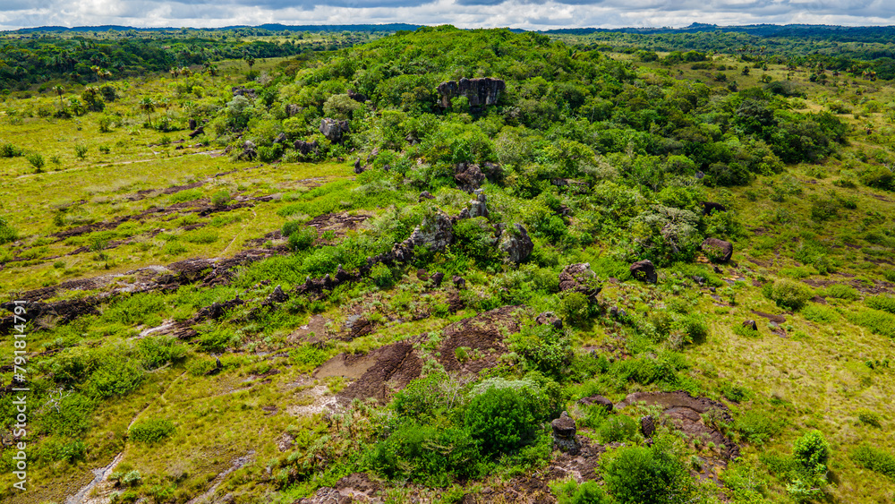 Aerial view of lush landscape in San Jose del Guaviare, Colombia, showcasing natural rock formations amidst greenery Aerial view of lush landscape in San Jose del Guaviare, Colombia, showcasing natural rock formations amidst greenery