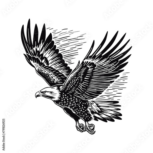 bald eagle engraving black and white outline