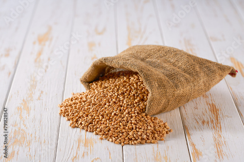 Raw organic wheat in sack on a light table, selective focus.