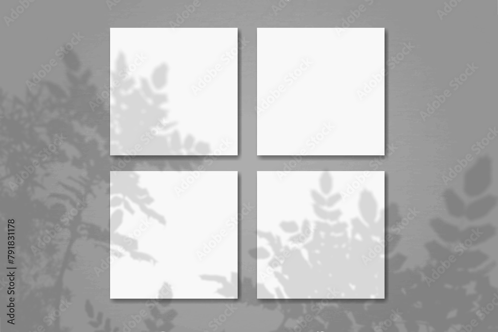Natural light casts shadows from the plant on 4 square sheets of white textured paper lying on a gray background. Mockup