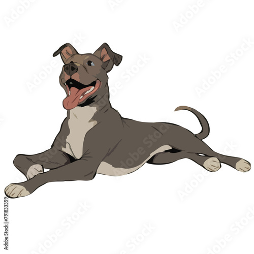 Dogs