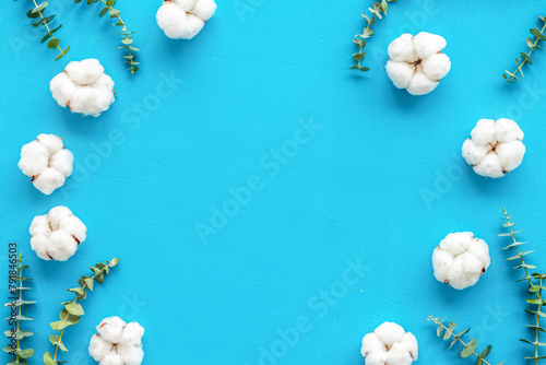 Flowers frame with fresh eucalyptus branches and cotton on blue background top view copy space