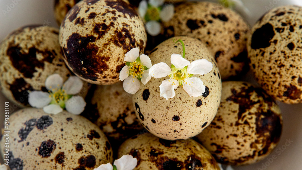 Quail eggs with small white flowers. Close up Quail eggs with small white flowers. Close up