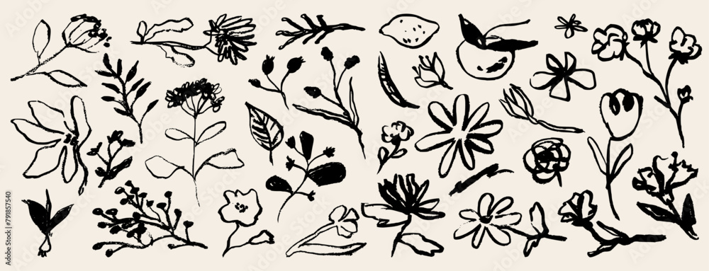 Contemporary abstract minimal tattoo flower collection. Vector illustration. Ink hand drawn wild flowers set. Abstract plants art in charcoal or crayon drawing style. Pencil drawn floral elements.