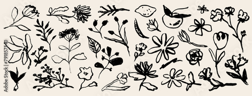Contemporary abstract minimal tattoo flower collection. Vector illustration. Ink hand drawn wild flowers set. Abstract plants art in charcoal or crayon drawing style. Pencil drawn floral elements. photo