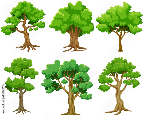 Set of different trees on a white background. Vector illustration.