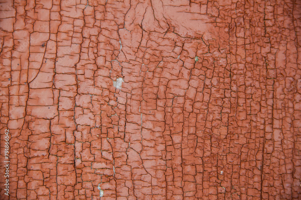 Old wood texture. Photo of natural wood. Rough wooden texture. Old wood texture. Photo of natural wood. Rough wooden texture.
