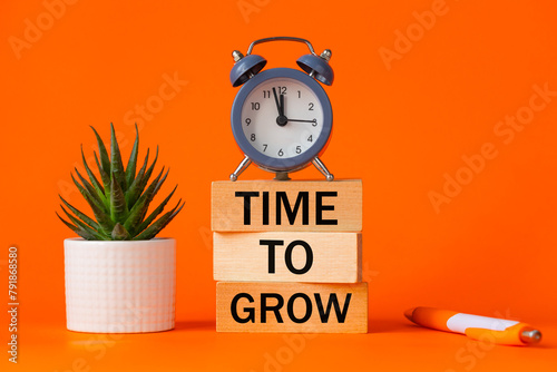 Time to Grow symbol. alarm clock and Time to Grow concept word on wooden blocks. Beautiful orange background, succulent, desk,pen, Concept of business and time to grow. Copy space