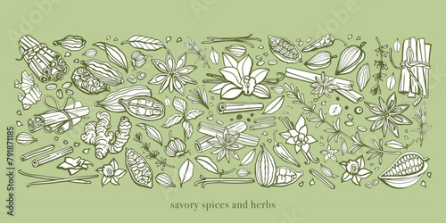 Hand drawn savory spices and herbs. Set. Vanilla, cinnamon, garlic, ginger, anise, basil, rosemary, turmeric, thyme, pepper, peppercorns, cocoa, coffee, badian, cloves, chili. Mulled wine. Template.