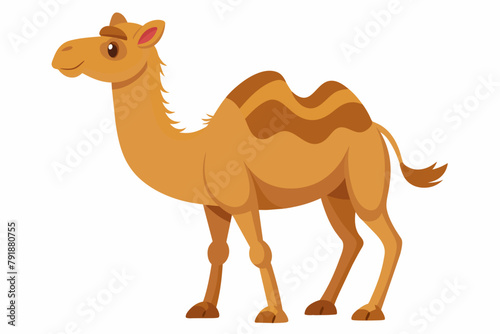 A cartoon illustration of a smiling camel with two humps on its back and a tuft of hair on its tail.