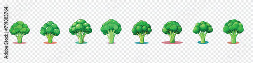 Broccoli crumbs vector cartoon set icon. broccoli icon. broccoli vegetable, broccoli designs and views from different angles, Broccoli vector icon.