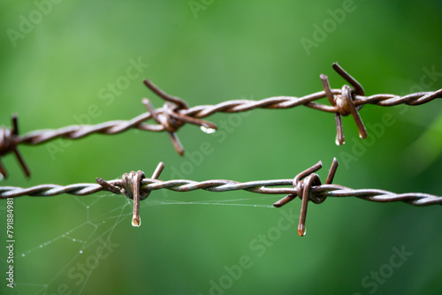 Barbed wire prevents intrusion