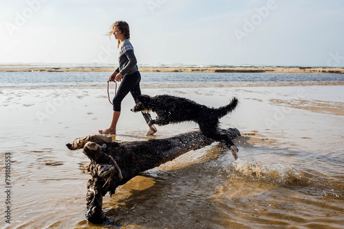 Pretty young girl playing with her Borders collie on the sunny beach. photo