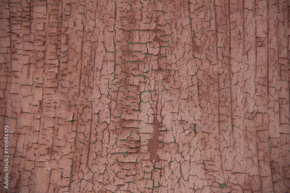 Old wood texture. Photo of natural wood. Rough wooden texture. Old wood texture. Photo of natural wood. Rough wooden texture.