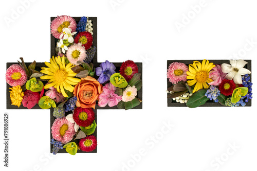 Plus and minus signs made of real natural flowers on transparent background.