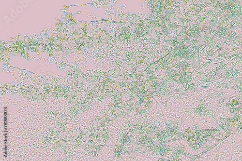 a pink background with a pattern of flowers on it