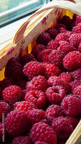 Fresh delicious raspberries in a basket. Summer berries.