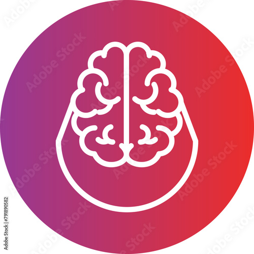BrainLeap Icon Style