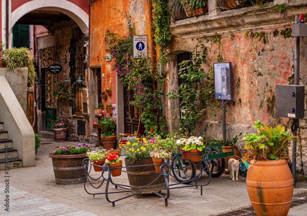 street in the village of Monterosso, Italy