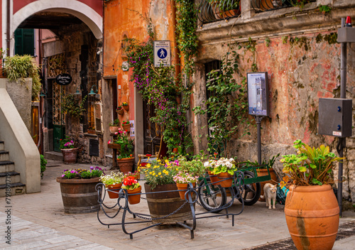 Fototapeta Naklejka Na Ścianę i Meble -  street in the village of Monterosso, Italy