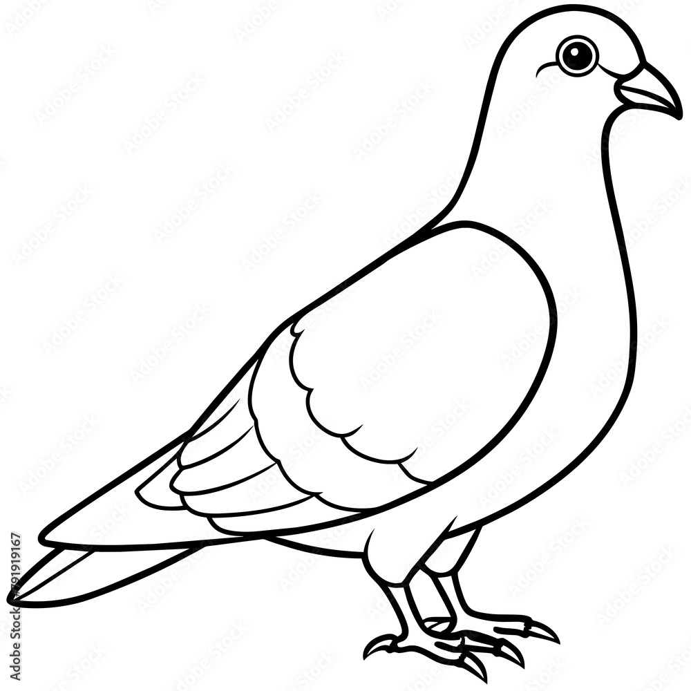 illustration of a pigeon logo icon vector fills illustration of a pigeon logo icon vector fills