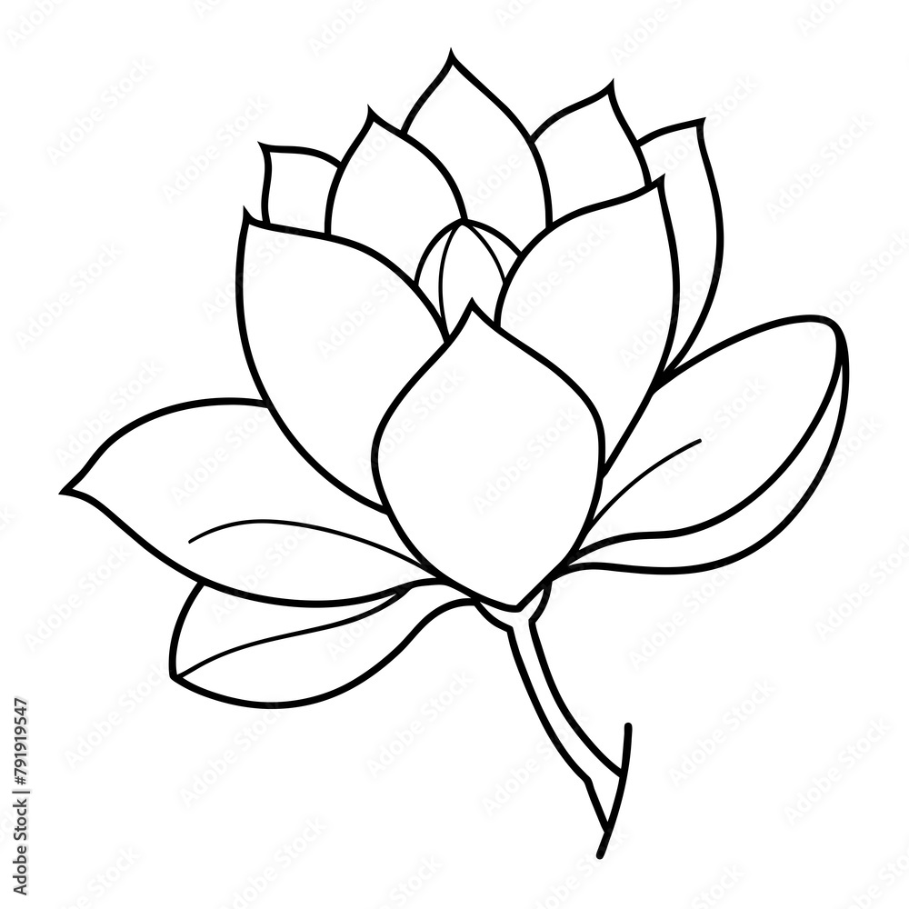 Obraz premium lotus flower vector Magnolia & vector single set of flowers illustration