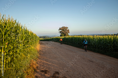 Ciclistas passando por Estrada rural, Plantação de Milho e céu azul photo