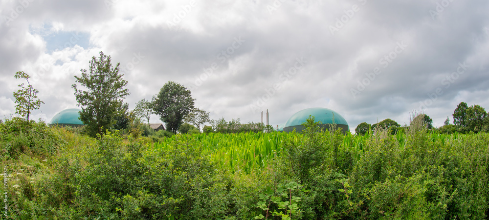 Biogasanlage zur Stromerzeugung und Energiegewinnung Biogasanlage zur Stromerzeugung und Energiegewinnung