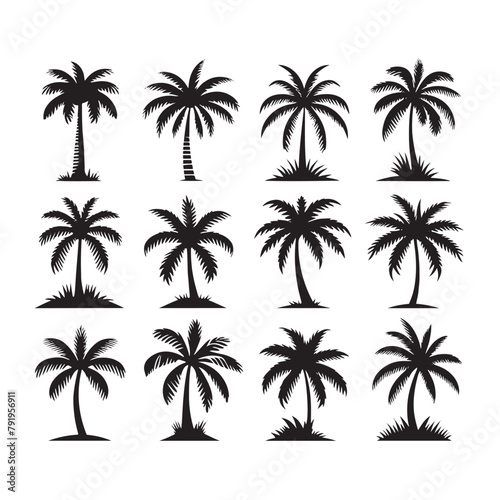 vector set of tropical palm and tree silhouettes. EPS ,Set tropical palm trees with leaves, mature and young plants, black silhouettes isolated on white background. Vector