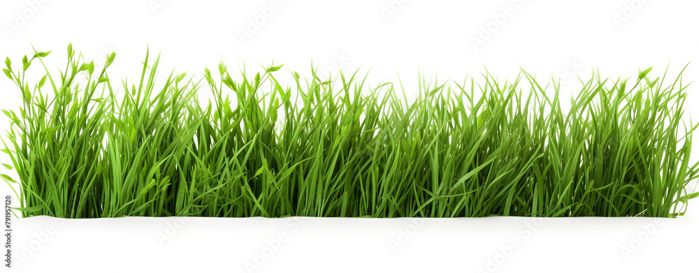 green grass isolated on white background stock photo сreated with Generative Ai green grass isolated on white background stock photo сreated with Generative Ai