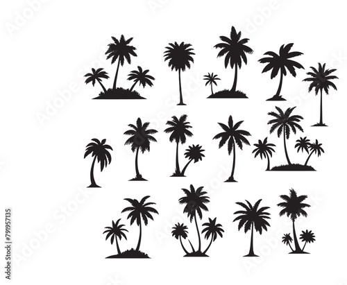 vector set of tropical palm and tree silhouettes. EPS ,Set tropical palm trees with leaves, mature and young plants, black silhouettes isolated on white background. Vector