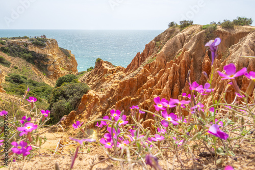 Cliffs and nature in spring near Benagil, Portugal