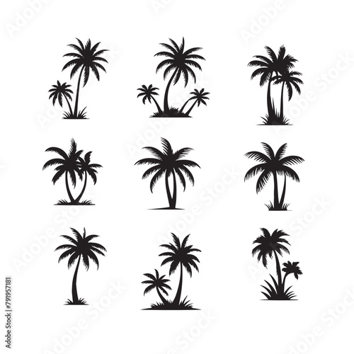 vector set of tropical palm and tree silhouettes. EPS ,Set tropical palm trees with leaves, mature and young plants, black silhouettes isolated on white background. Vector