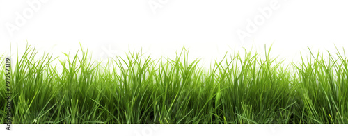 green grass isolated on white background stock photo сreated with Generative Ai