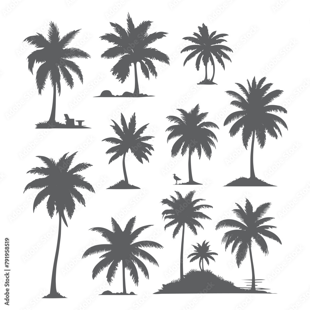 vector set of tropical palm and tree silhouettes. EPS ,Set tropical palm trees with leaves, mature and young plants, black silhouettes isolated on white background. Vector