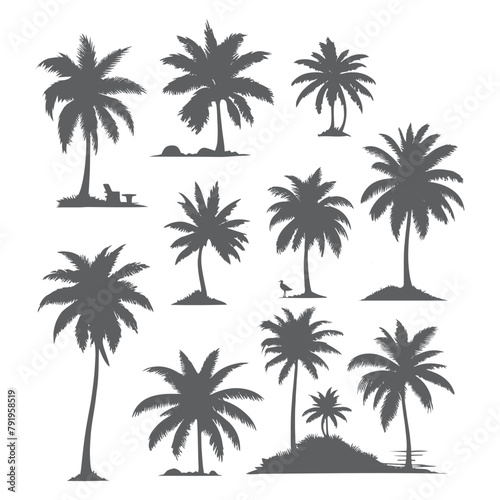 vector set of tropical palm and tree silhouettes. EPS  Set tropical palm trees with leaves  mature and young plants  black silhouettes isolated on white background. Vector