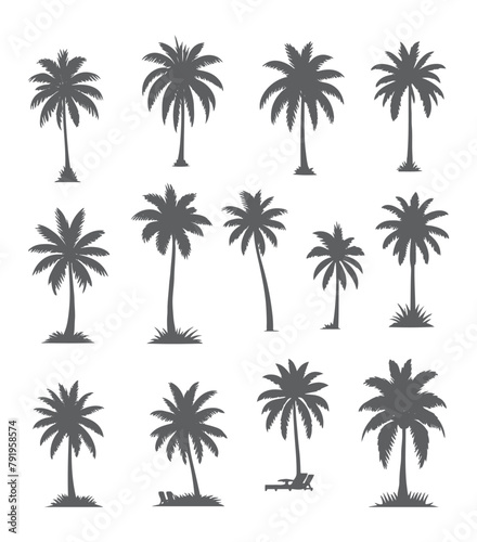 vector set of tropical palm and tree silhouettes. EPS ,Set tropical palm trees with leaves, mature and young plants, black silhouettes isolated on white background. Vector