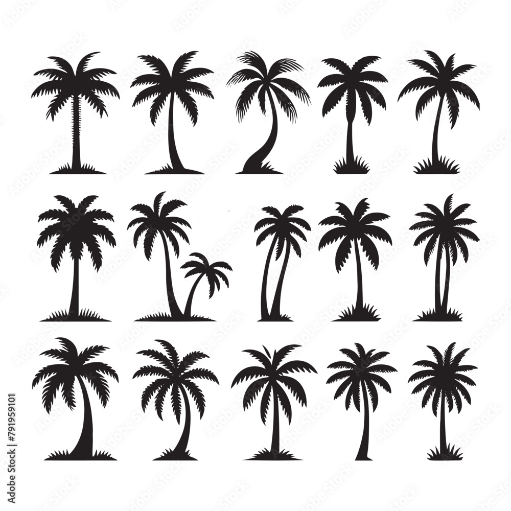 vector set of tropical palm and tree silhouettes. EPS ,Set tropical palm trees with leaves, mature and young plants, black silhouettes isolated on white background. Vector vector set of tropical palm and tree silhouettes. EPS ,Set tropical palm trees with leaves, mature and young plants, black silhouettes isolated on white background. Vector