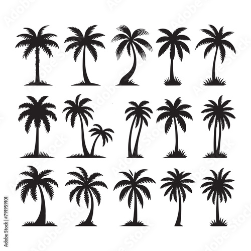 vector set of tropical palm and tree silhouettes. EPS  Set tropical palm trees with leaves  mature and young plants  black silhouettes isolated on white background. Vector