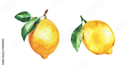 Lemon , set of lemons on a transparent background , citron, watercolor illustration, lime , fruit, lemons and leaves, citrus photo