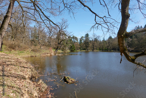 Pruhonice, Czech Republic - March 29, 2024 - the Labeska Pond in the Pruhonice Park near Prague at the beginning of spring 