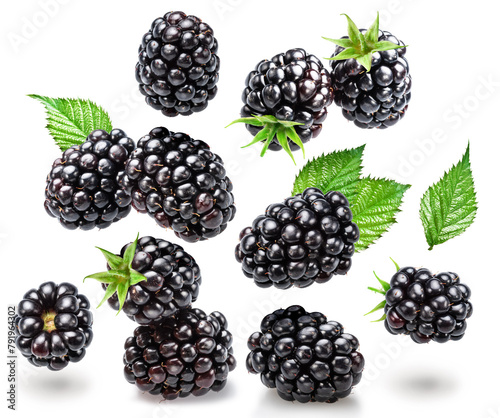 Set of blackberries and blackberry leaves and blackberries leaves on white background. File contains clipping paths.