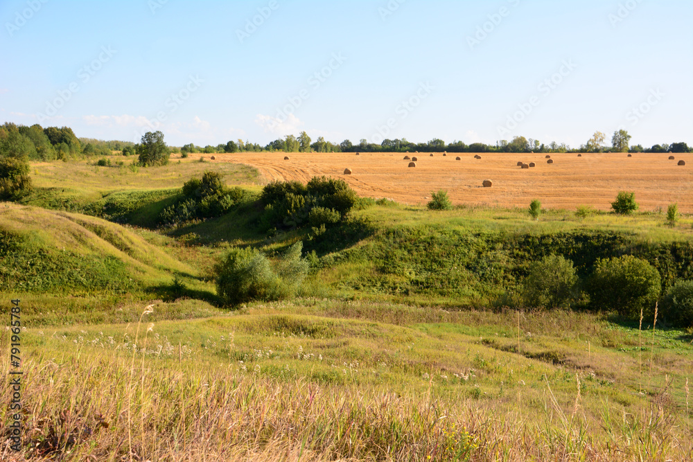 a field with hay bales and trees in the background copy space